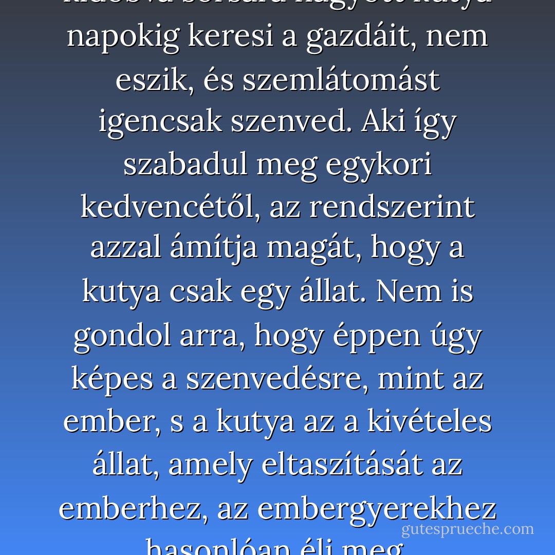 A terhessé vált, autóból kidobva sorsára hagyott kutya napokig keresi a gazdáit, nem eszik, és szemlátomást igencsak szenved. Aki így szabadul meg egykori kedvencétől, az rendszerint azzal ámítja magát, hogy a kutya csak egy állat. Nem is gondol arra, hogy éppen úgy képes a szenvedésre, mint az ember, s a kutya az a kivételes állat, amely eltaszítását az emberhez, az embergyerekhez hasonlóan éli meg. - Csányi Vilmos