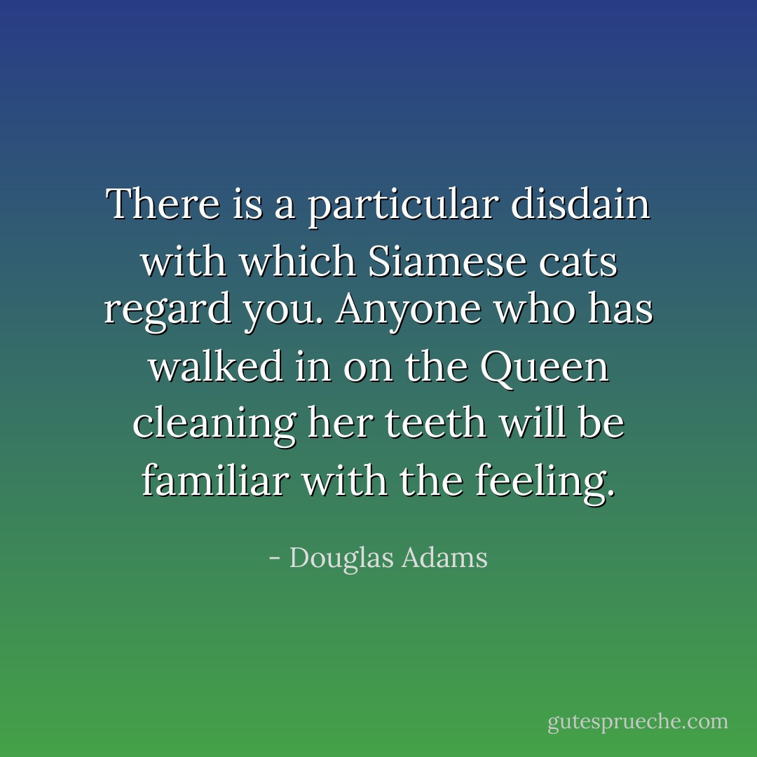 There is a particular disdain with which Siamese cats regard you. Anyone who has walked in on the Queen cleaning her teeth will be familiar with the feeling. - Douglas Adams