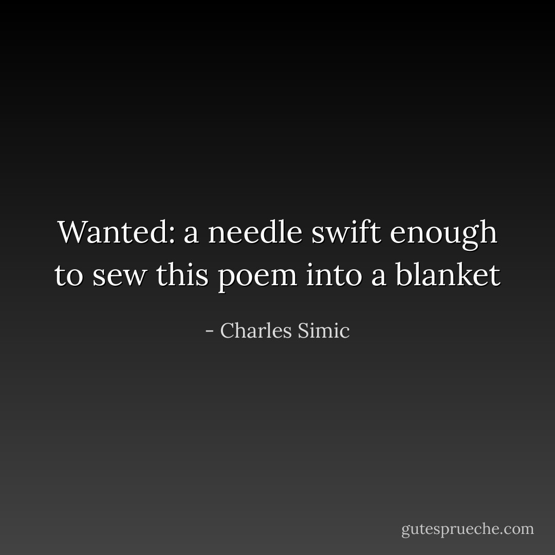 Wanted: a needle swift enough to sew this poem into a blanket - Charles Simic