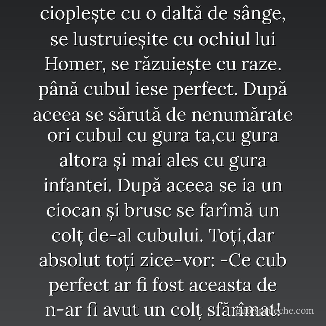 Se ia o bucată de piatră.<br />se cioplește cu o daltă de sânge,<br />se lustruieșite cu ochiul lui Homer,<br />se răzuiește cu raze.<br />până cubul iese perfect.<br />După aceea se sărută de nenumărate ori cubul<br />cu gura ta,cu gura altora<br />și mai ales cu gura infantei.<br />După aceea se ia un ciocan<br />și brusc se farîmă un colț de-al cubului.<br />Toți,dar absolut toți zice-vor:<br />-Ce cub perfect ar fi fost aceasta de n-ar fi avut un colț sfărîmat! - Nichita Stănescu