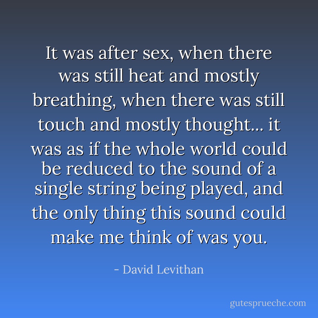 It was after sex, when there was still heat and mostly breathing, when there was still touch and mostly thought... it was as if the whole world could be reduced to the sound of a single string being played, and the only thing this sound could make me think of was you. - David Levithan