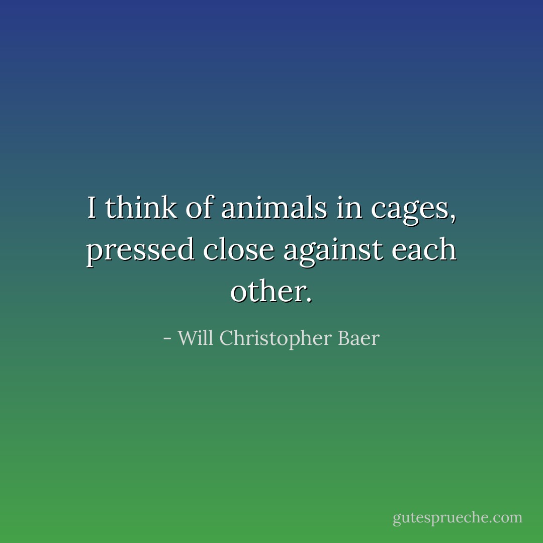 I think of animals in cages, pressed close against each other. - Will Christopher Baer