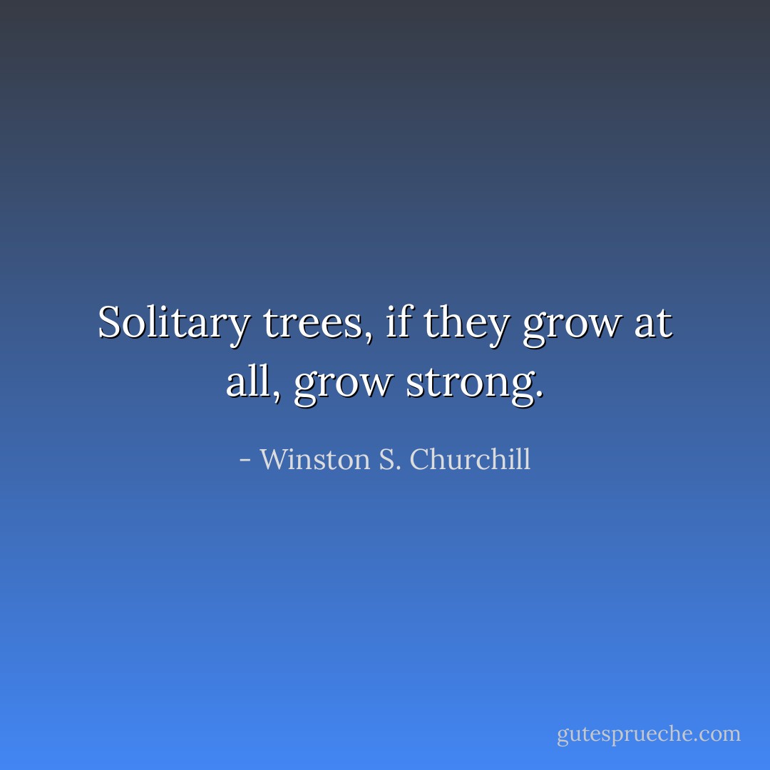 Solitary trees, if they grow at all, grow strong. - Winston S. Churchill