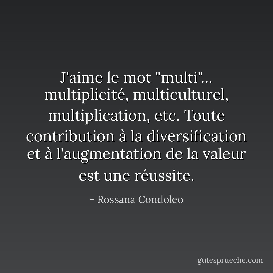 J'aime le mot "multi"... multiplicité, multiculturel, multiplication, etc. Toute contribution à la diversification et à l'augmentation de la valeur est une réussite. - Rossana Condoleo