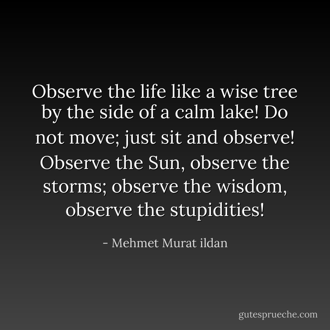 Observe the life like a wise tree by the side of a calm lake! Do not move; just sit and observe! Observe the Sun, observe the storms; observe the wisdom, observe the stupidities! - Mehmet Murat ildan