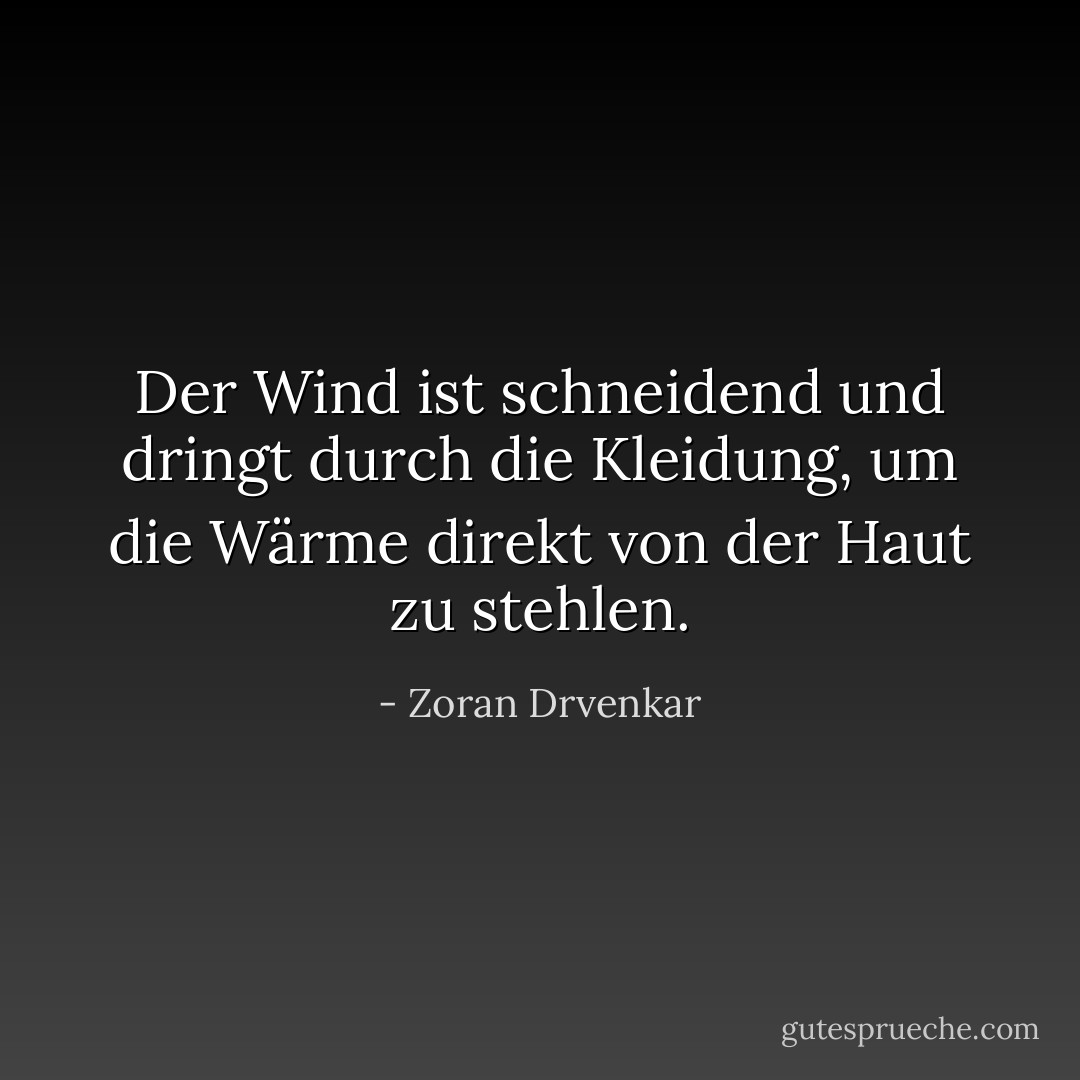 Der Wind ist schneidend und dringt durch die Kleidung, um die Wärme direkt von der Haut zu stehlen. - Zoran Drvenkar