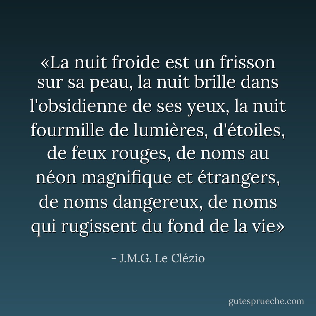 «La nuit froide est un frisson sur sa peau, la nuit brille dans l'obsidienne de ses yeux, la nuit fourmille de lumières, d'étoiles, de feux rouges, de noms au néon magnifique et étrangers, de noms dangereux, de noms qui rugissent du fond de la vie» - J.M.G. Le Clézio