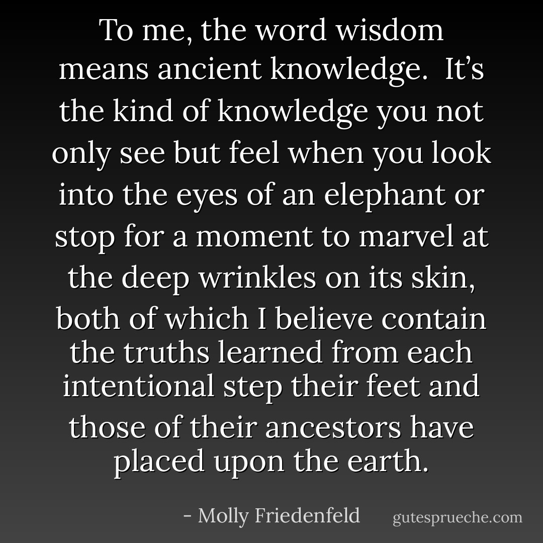 To me, the word wisdom means ancient knowledge. <br />It’s the kind of knowledge you not only see but feel when you look into the eyes of an elephant or stop for a moment to marvel at the deep wrinkles on its skin, both of which I believe contain the truths learned from each intentional step their feet and those of their ancestors have placed upon the earth. - Molly Friedenfeld