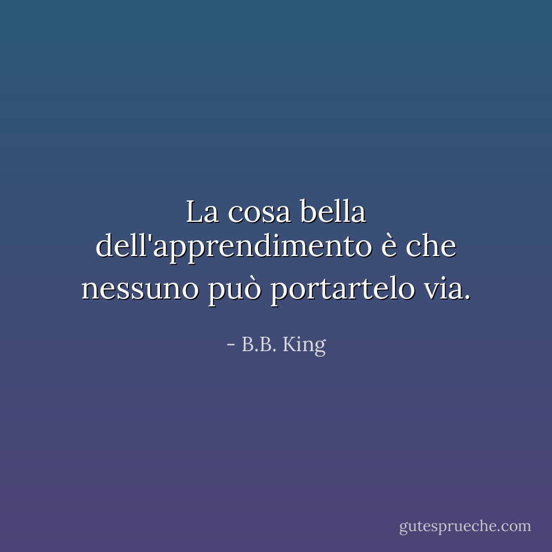 La cosa bella dell'apprendimento è che nessuno può portartelo via. - B.B. King