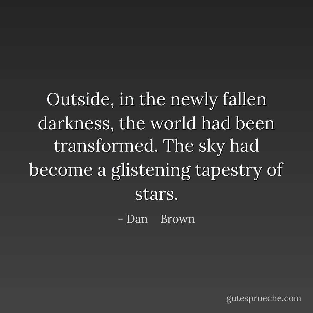 Outside, in the newly fallen darkness, the world had been transformed. The sky had become a glistening tapestry of stars. - Dan    Brown