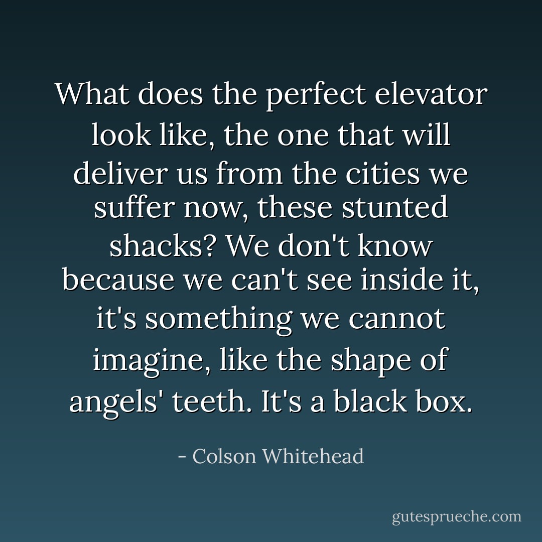 What does the perfect elevator look like, the one that will deliver us from the cities we suffer now, these stunted shacks? We don't know because we can't see inside it, it's something we cannot imagine, like the shape of angels' teeth. It's a black box. - Colson Whitehead