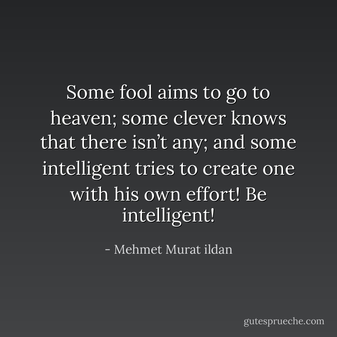 Some fool aims to go to heaven; some clever knows that there isn’t any; and some intelligent tries to create one with his own effort! Be intelligent! - Mehmet Murat ildan