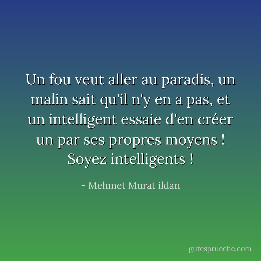 Un fou veut aller au paradis, un malin sait qu'il n'y en a pas, et un intelligent essaie d'en créer un par ses propres moyens ! Soyez intelligents ! - Mehmet Murat ildan