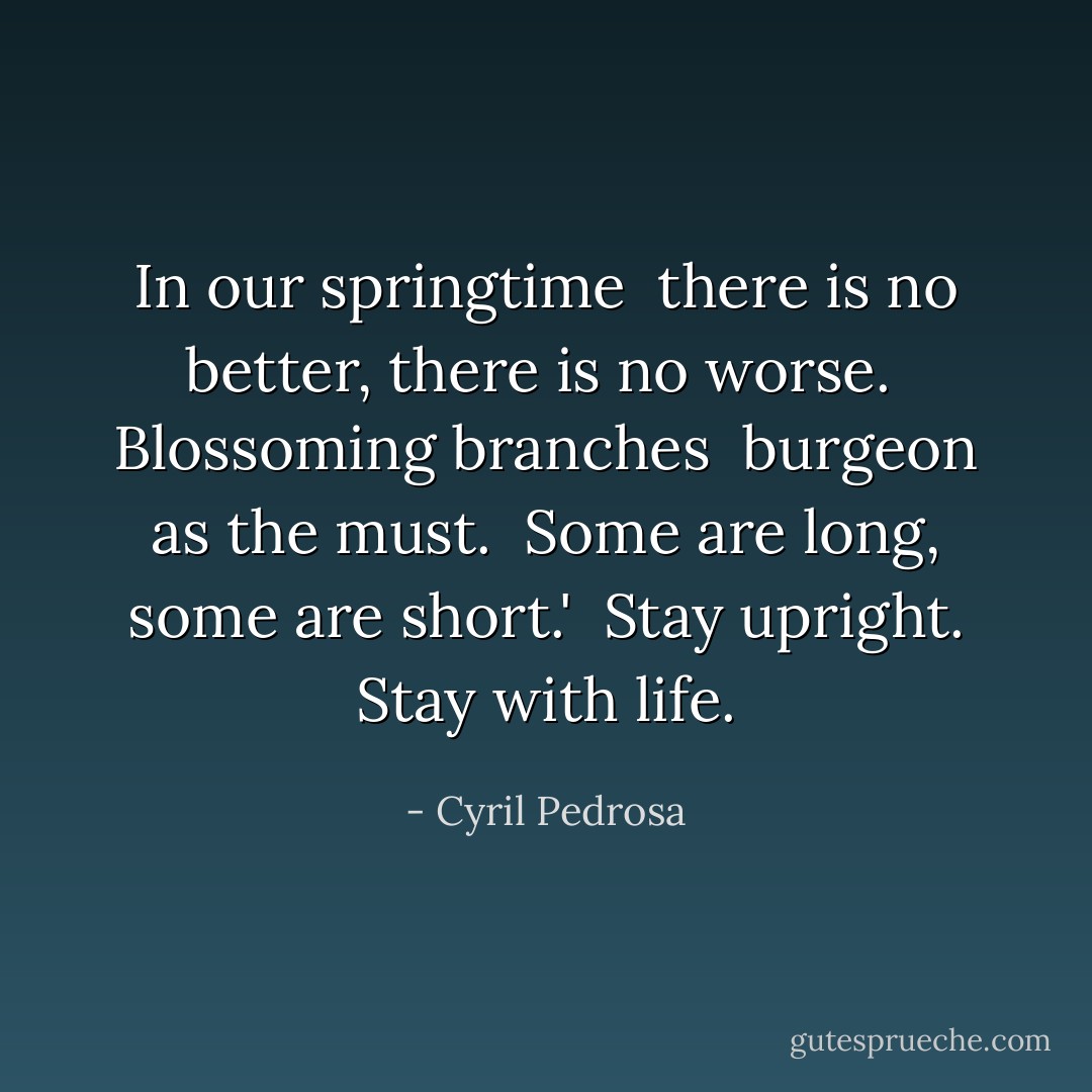 In our springtime <br />there is no better,<br />there is no worse.<br /><br />Blossoming branches <br />burgeon as the must.<br /><br />Some are long,<br />some are short.'<br /><br />Stay upright.<br />Stay with life. - Cyril Pedrosa