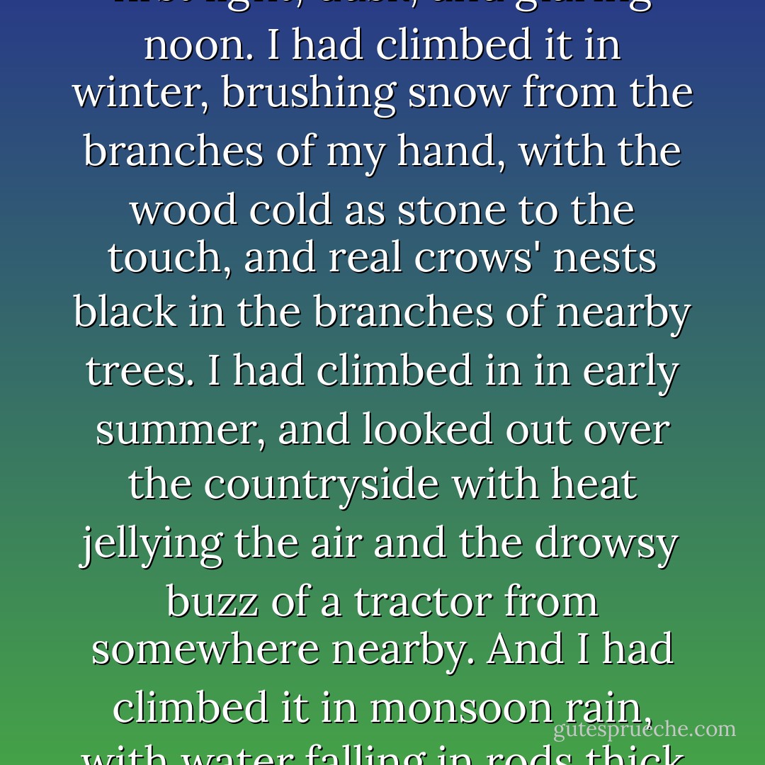 There was nothing unique about my beech tree, nothing difficult in its ascent, no biological revelation at its summit, nor any honey, but it had become a place to think. A roost. I was fond of it, and it -- well, it had no notion of me. I had climbed it many times; at first light, dusk, and glaring noon. I had climbed it in winter, brushing snow from the branches of my hand, with the wood cold as stone to the touch, and real crows' nests black in the branches of nearby trees. I had climbed in in early summer, and looked out over the countryside with heat jellying the air and the drowsy buzz of a tractor from somewhere nearby. And I had climbed it in monsoon rain, with water falling in rods thick enough for the eye to see. Climbing the tree was a way to get perspective, however slight; to look down on a city that I usually looked across. The relief of relief. Above all, it was a way of defraying the city's claims on me. - Robert Macfarlane