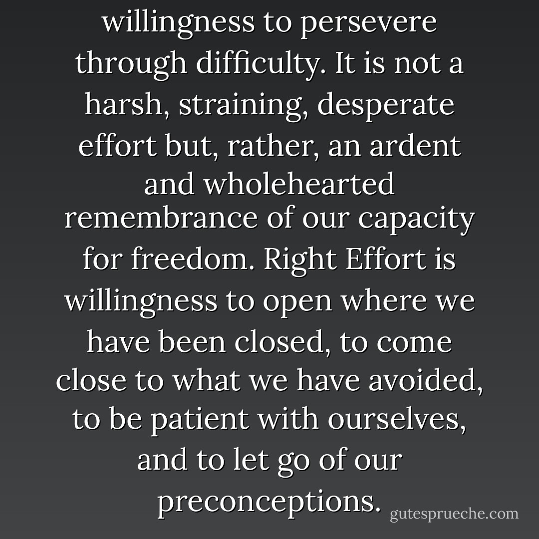 Effort is the unconstrained willingness to persevere through difficulty. It is not a harsh, straining, desperate effort but, rather, an ardent and wholehearted remembrance of our capacity for freedom. Right Effort is willingness to open where we have been closed, to come close to what we have avoided, to be patient with ourselves, and to let go of our preconceptions. - Sharon Salzberg