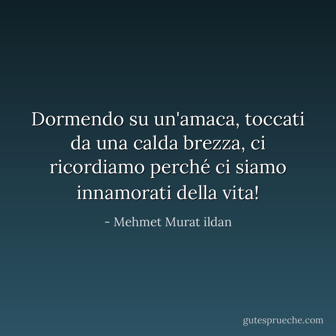 Dormendo su un'amaca, toccati da una calda brezza, ci ricordiamo perché ci siamo innamorati della vita! - Mehmet Murat ildan
