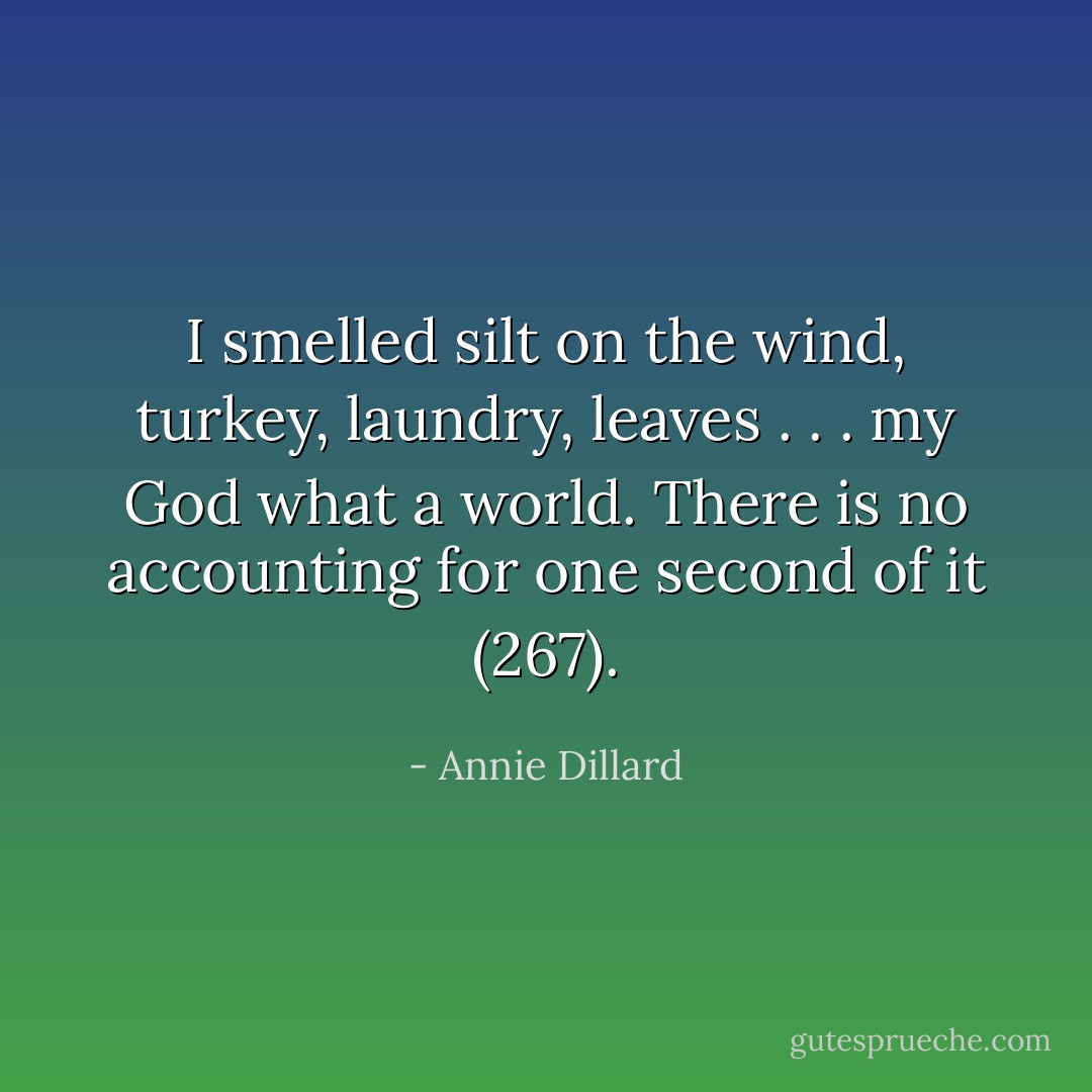 I smelled silt on the wind, turkey, laundry, leaves . . . my God what a world. There is no accounting for one second of it (267). - Annie Dillard