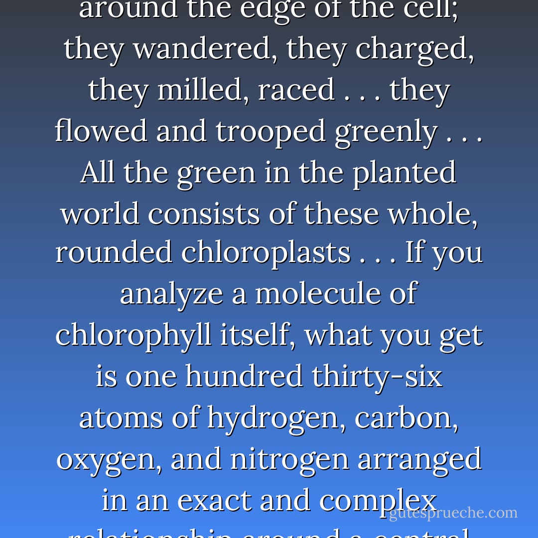 Chloroplasts bear chlorophyll; they give the green world its color, and they carry out the business of photosynthesis. Around the inside perimeter of each gigantic cell trailed a continuous loop of these bright green dots. They spun . . . they pulsed, pressed, and thronged . . . they shone, they swarmed in ever-shifting files around and around the edge of the cell; they wandered, they charged, they milled, raced . . . they flowed and trooped greenly . . . All the green in the planted world consists of these whole, rounded chloroplasts . . . If you analyze a molecule of chlorophyll itself, what you get is one hundred thirty-six atoms of hydrogen, carbon, oxygen, and nitrogen arranged in an exact and complex relationship around a central ring. At the ring’s center is a single atom of magnesium. Now: If you remove the atom of magnesium and in its place put an atom of iron, you get a molecule of hemoglobin. The iron atom combines with all the other atoms to make red blood, the streaming red dots in the goldfish’s tail. - Annie Dillard