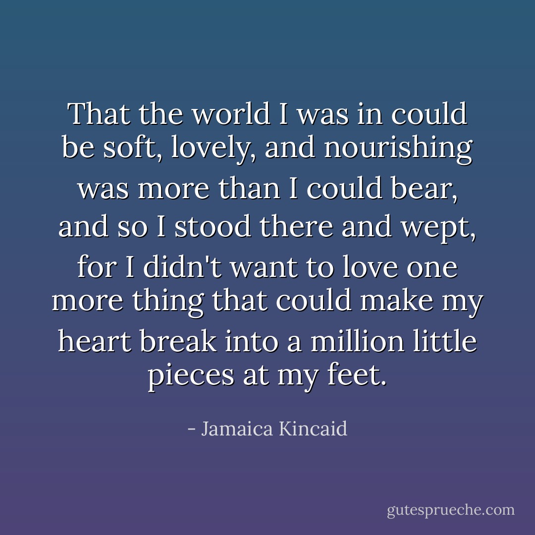 That the world I was in could be soft, lovely, and nourishing was more than I could bear, and so I stood there and wept, for I didn't want to love one more thing that could make my heart break into a million little pieces at my feet. - Jamaica Kincaid