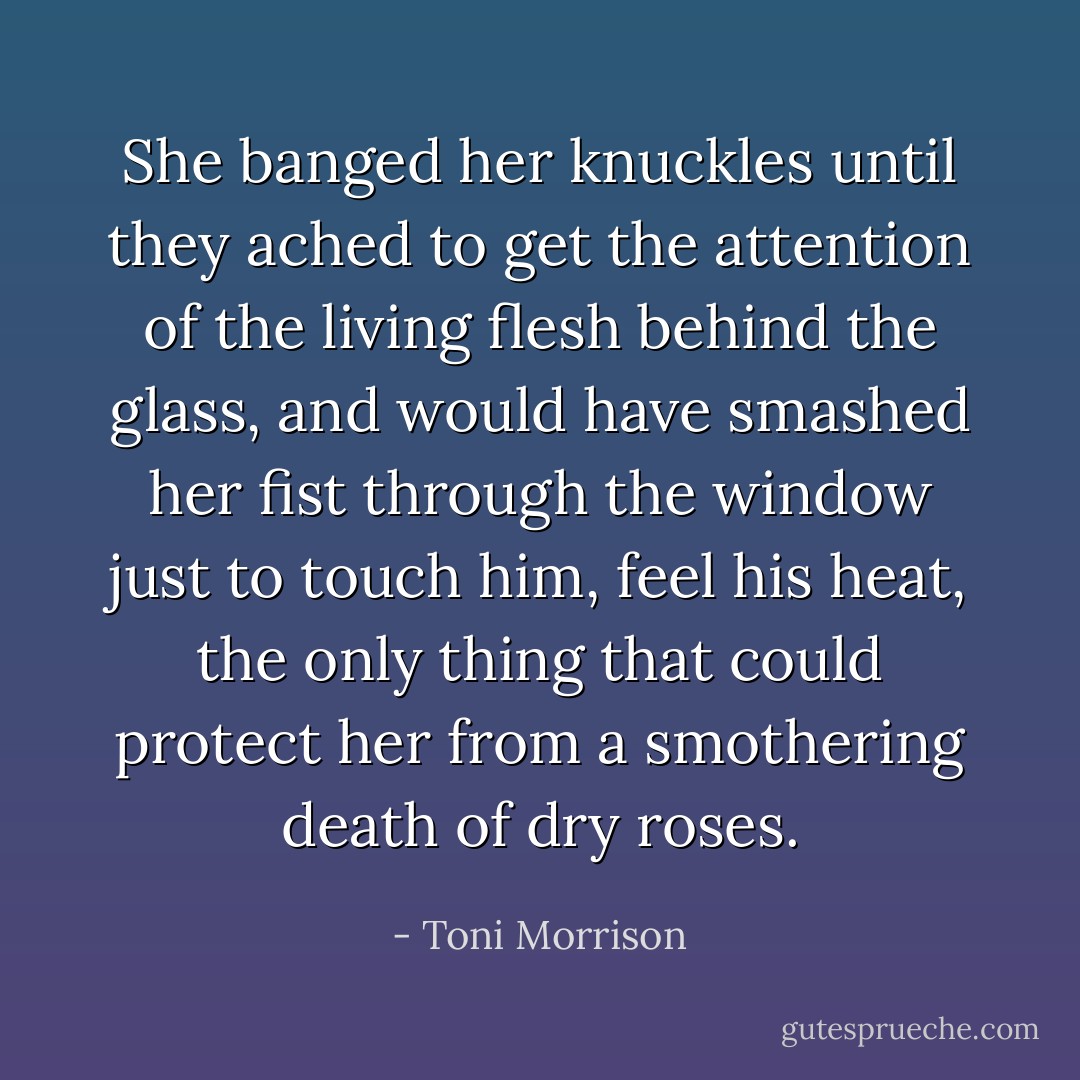 She banged her knuckles until they ached to get the attention of the living flesh behind the glass, and would have smashed her fist through the window just to touch him, feel his heat, the only thing that could protect her from a smothering death of dry roses. - Toni Morrison