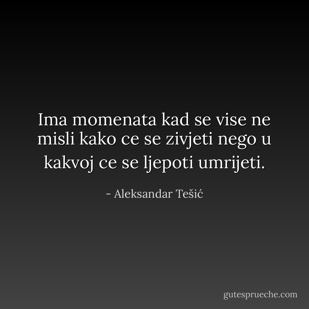 Ima momenata kad se vise ne misli kako ce se zivjeti nego u kakvoj ce se ljepoti umrijeti. - Aleksandar Tešić